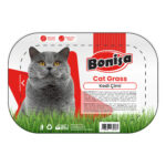 Bonisa Kedi Çimi